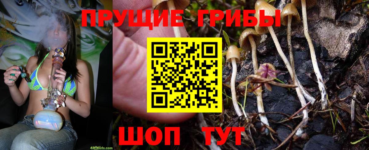 Псилоцибиновые грибы прущие грибы  Вход с VPN  Псилоцибиновые грибы мицелий  купить закладку  Киров 