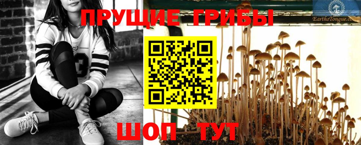 Галлюциногенные грибы ЛСД Киров
